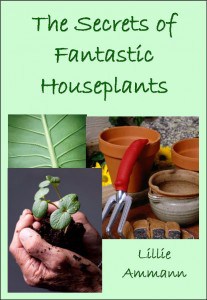 The Secrets of Fantastic Houseplants