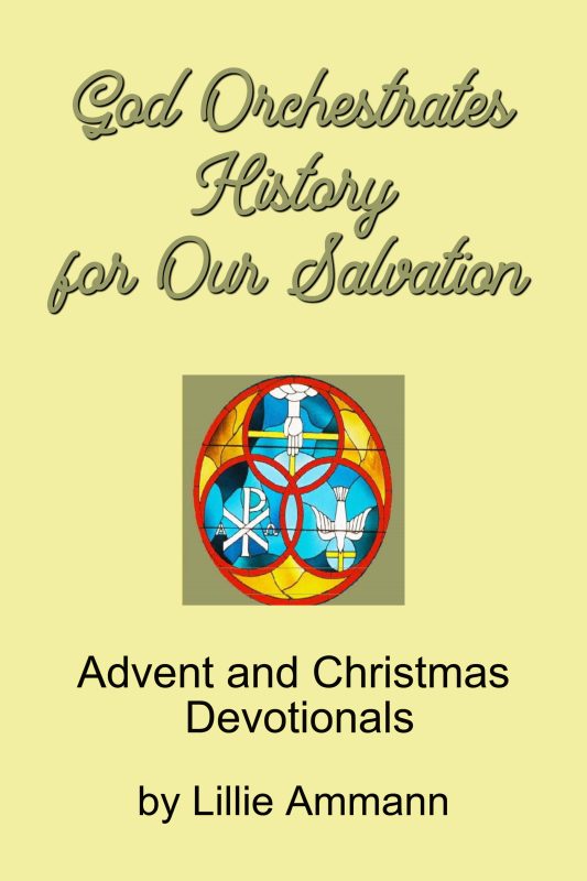 God Orchestrates History for Our Salvation: Advent and Christmas Devotionals
