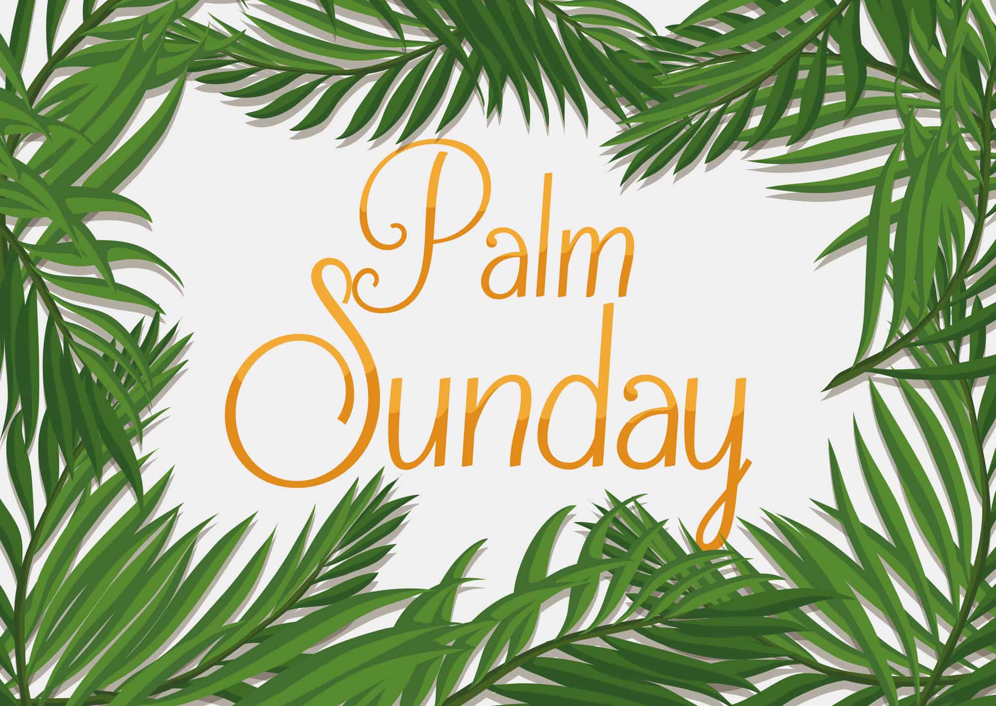 Devotion for Palm Sunday Lillie Ammann, Writer and Editor